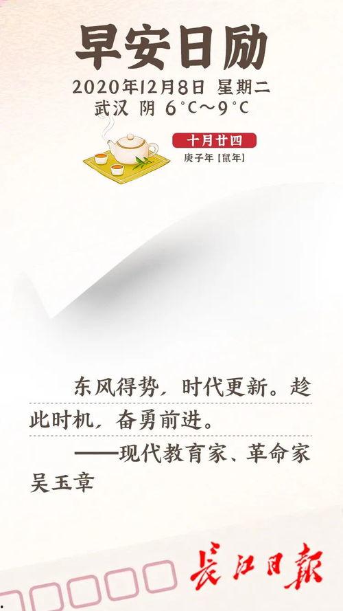 武汉早安最新爆料新闻,揭秘XX事件背后真相